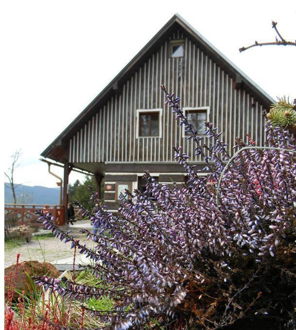 Hotel Horsky Ranc Pec pod Sněžkou Zewnętrze zdjęcie